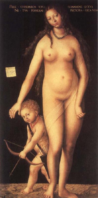 Lucas Cranach the Elder Venus and Cupid oil painting image